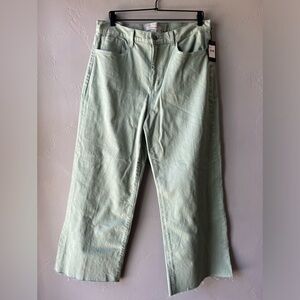Joe’s Green “Thyme” High Rise Jeans ~ Size 33 NWT